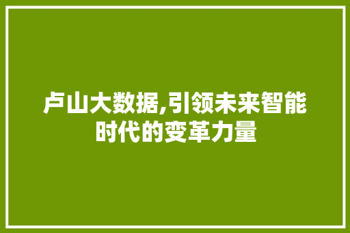 卢山大数据,引领未来智能时代的变革力量