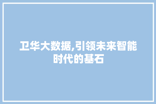卫华大数据,引领未来智能时代的基石