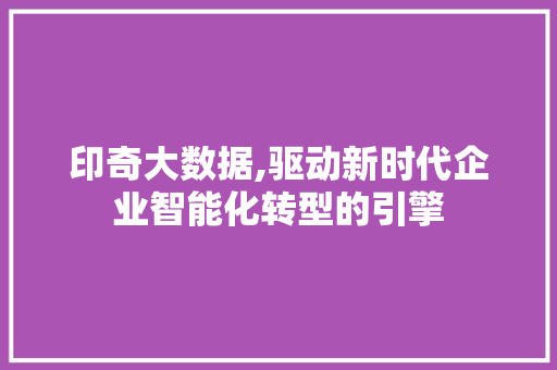 印奇大数据,驱动新时代企业智能化转型的引擎