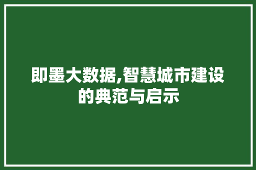 即墨大数据,智慧城市建设的典范与启示