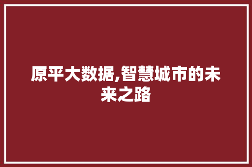 原平大数据,智慧城市的未来之路