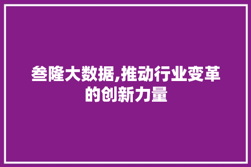 叁隆大数据,推动行业变革的创新力量
