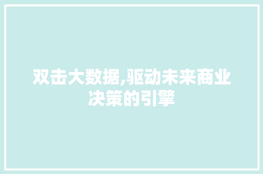 双击大数据,驱动未来商业决策的引擎