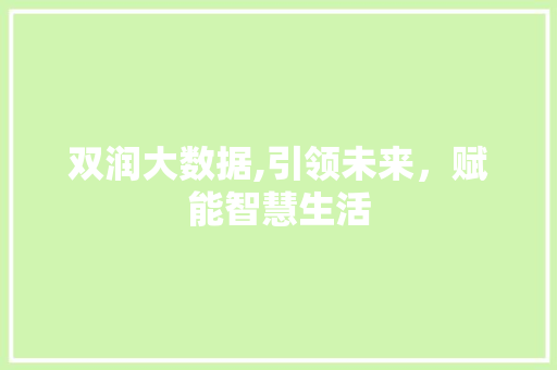 双润大数据,引领未来，赋能智慧生活