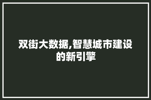 双街大数据,智慧城市建设的新引擎 友链在线
