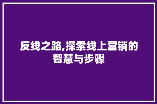 反线之路,探索线上营销的智慧与步骤 友链在线