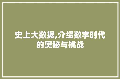 史上大数据,介绍数字时代的奥秘与挑战 WordPress教程
