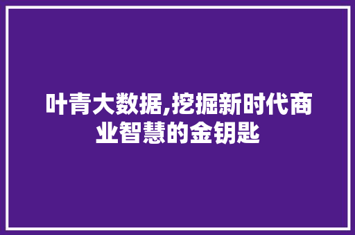 叶青大数据,挖掘新时代商业智慧的金钥匙