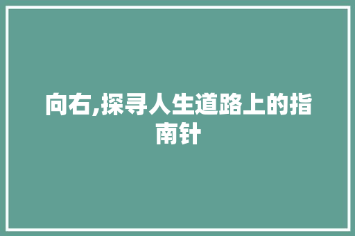 向右,探寻人生道路上的指南针