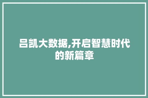 吕凯大数据,开启智慧时代的新篇章
