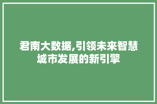 君南大数据,引领未来智慧城市发展的新引擎