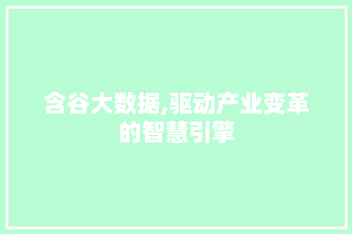 含谷大数据,驱动产业变革的智慧引擎