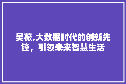 吴薇,大数据时代的创新先锋，引领未来智慧生活