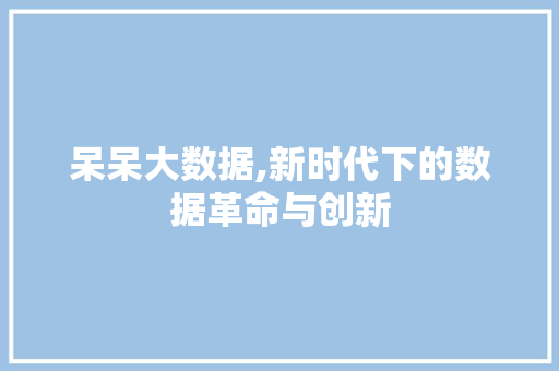 呆呆大数据,新时代下的数据革命与创新