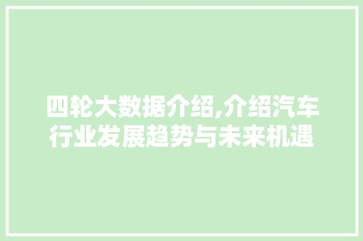 四轮大数据介绍,介绍汽车行业发展趋势与未来机遇