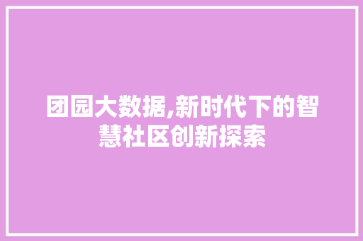 团园大数据,新时代下的智慧社区创新探索