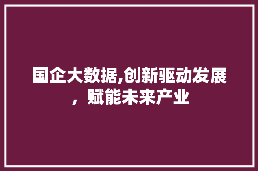 国企大数据,创新驱动发展，赋能未来产业