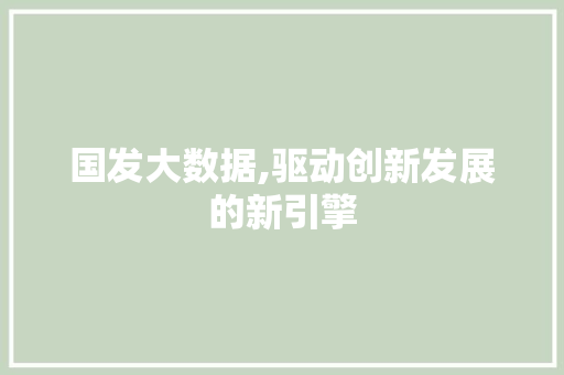 国发大数据,驱动创新发展的新引擎