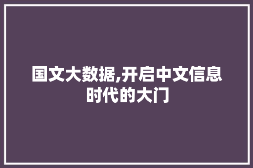 国文大数据,开启中文信息时代的大门
