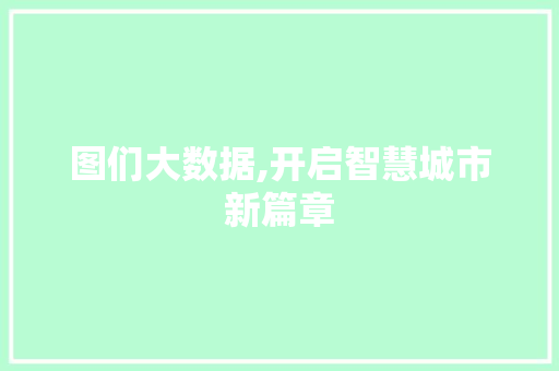 图们大数据,开启智慧城市新篇章