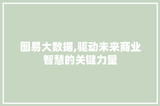 图易大数据,驱动未来商业智慧的关键力量