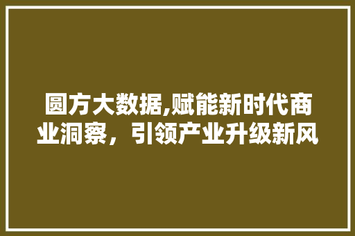 圆方大数据,赋能新时代商业洞察，引领产业升级新风向