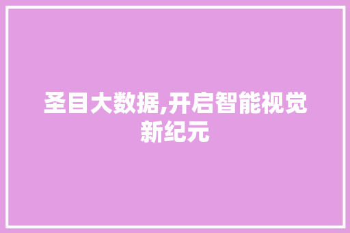 圣目大数据,开启智能视觉新纪元