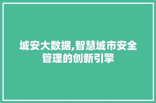 城安大数据,智慧城市安全管理的创新引擎