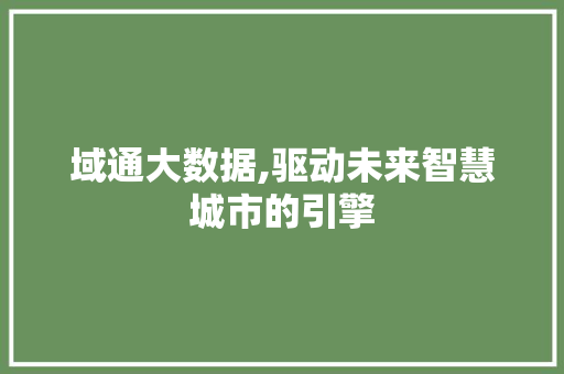 域通大数据,驱动未来智慧城市的引擎