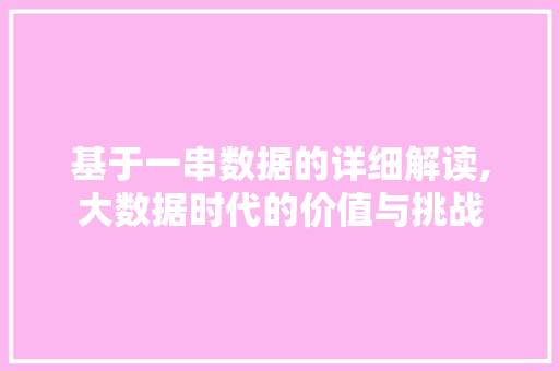基于一串数据的详细解读,大数据时代的价值与挑战