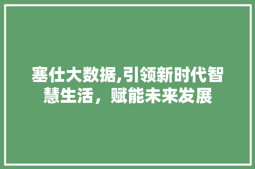 塞仕大数据,引领新时代智慧生活，赋能未来发展 友链在线