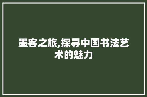 墨客之旅,探寻中国书法艺术的魅力 SEO教程