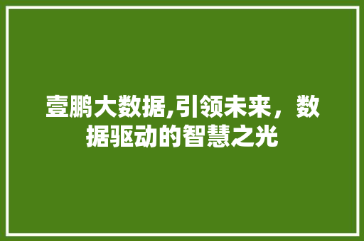 壹鹏大数据,引领未来，数据驱动的智慧之光 WordPress教程