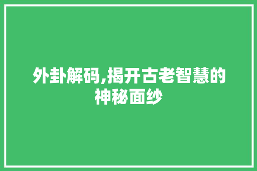 外卦解码,揭开古老智慧的神秘面纱 友链在线
