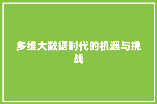 多维大数据时代的机遇与挑战 SEO教程
