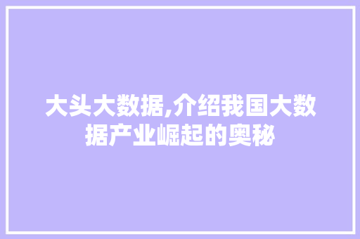 大头大数据,介绍我国大数据产业崛起的奥秘 SEO教程