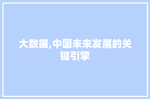 大数据,中国未来发展的关键引擎 SEO教程