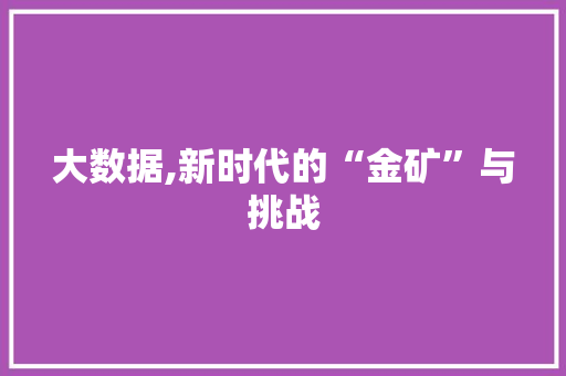 大数据,新时代的“金矿”与挑战 建站教程