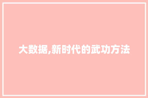 大数据,新时代的武功方法 友链在线
