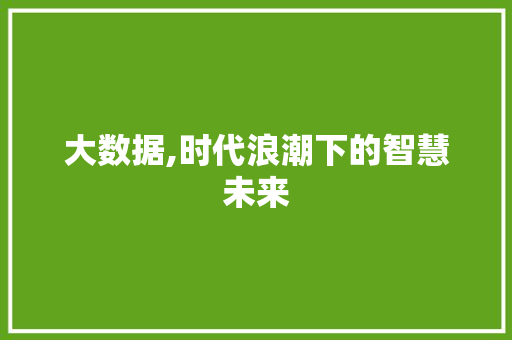 大数据,时代浪潮下的智慧未来 建站教程