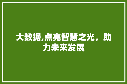 大数据,点亮智慧之光，助力未来发展 SEO教程