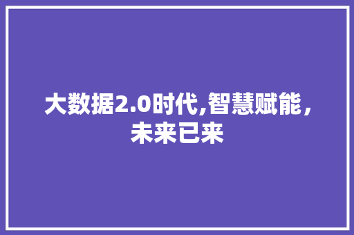 大数据2.0时代,智慧赋能，未来已来 WordPress教程
