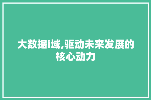 大数据i域,驱动未来发展的核心动力 WordPress教程
