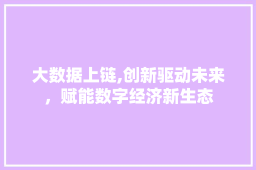 大数据上链,创新驱动未来，赋能数字经济新生态 WordPress教程