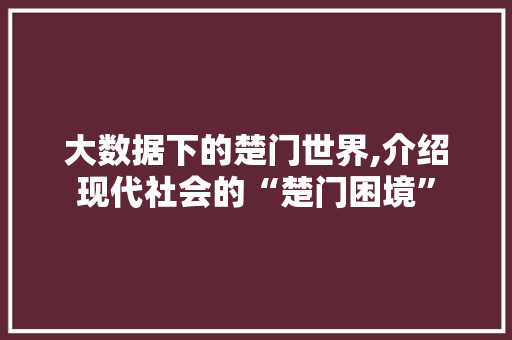 大数据下的楚门世界,介绍现代社会的“楚门困境” WordPress教程