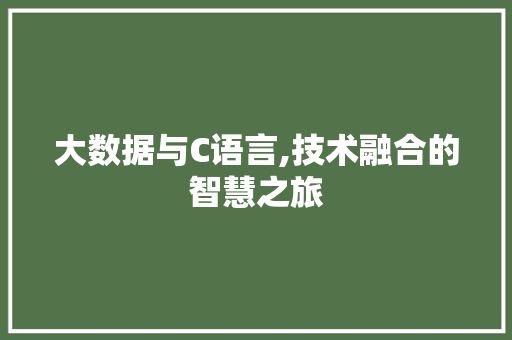 大数据与C语言,技术融合的智慧之旅 SEO教程