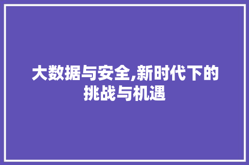 大数据与安全,新时代下的挑战与机遇 SEO教程