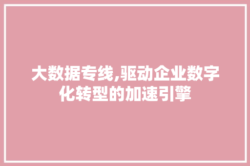 大数据专线,驱动企业数字化转型的加速引擎 友链在线
