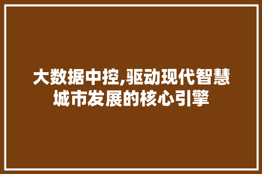大数据中控,驱动现代智慧城市发展的核心引擎 建站教程