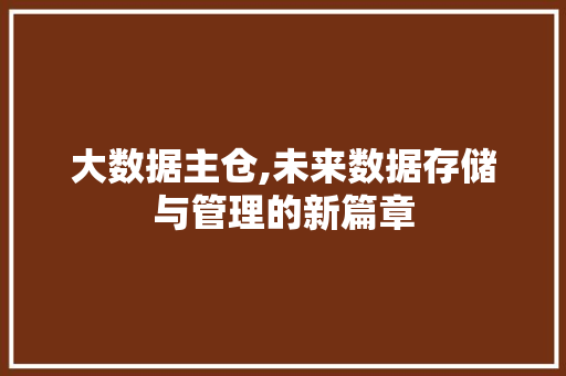 大数据主仓,未来数据存储与管理的新篇章 友链在线